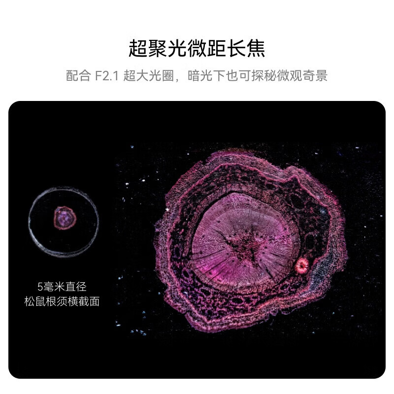 华为Huawei Pura 70 Pro+手机鸿蒙系统 卫星手机16+1TB (客服备注咨询颜色)高清大图