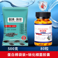鱼缸净水宝蛋白棉祛除腥臭专用过滤棉材料净水剂神器硝化细菌系白 均码 蛋白棉500克袋装+硝化细菌胶囊80粒