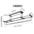 顶固(TopStrong)电动晾衣架T70极光灰