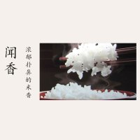 [苏宁超市]吉光 2020新米 鲜米 小町香大米 5KG/袋 东北大米 吉林大米 寿司米 圆粒香米 新米 密封包装 吉光