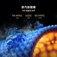 [自营]米家小米洗衣机10公斤滚筒超净洗银灰色全自动洗衣机超大筒径超薄机身XQG100MJ107