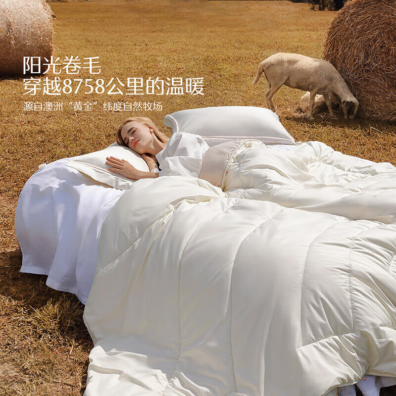 水星家纺100%澳洲羊毛·原牧抗菌被 型号 182493高清大图