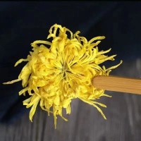 [新人特惠]金丝皇菊 20g/罐 大朵特级菊花茶 正宗金丝皇菊