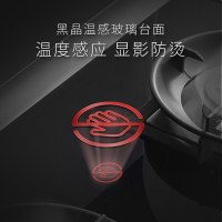 志高(CHIGO)JJZY-T15BZ家用烟机灶具蒸烤箱一体式挥手操控独立双内胆独立蒸烤空气炸文火炖集成灶液化气