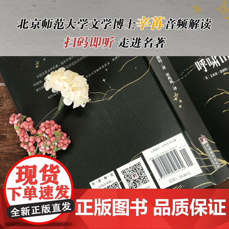 正版书籍 呼啸山庄 名家全译本无删减原版插画浙大资深翻译家宋兆霖译 本全新修订音频解读经典新读 中央编译出版社高清大图