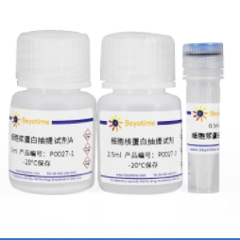 Beyotime RIPA裂解液(强中弱套装) P0013E