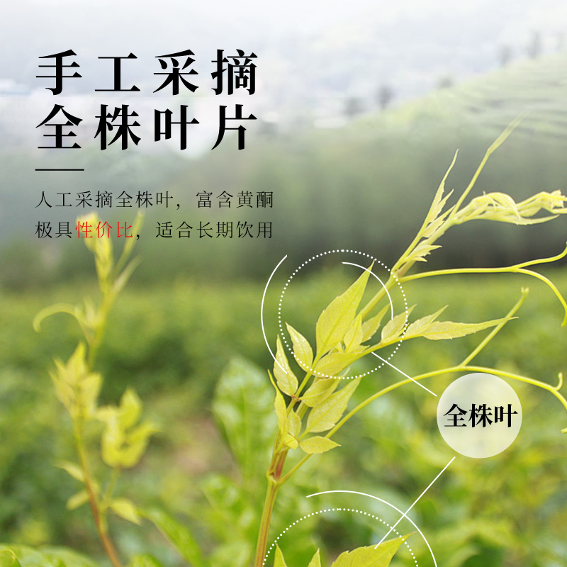 徽六绿茶黄山毛峰东方茗茶特级二等240g 2024新茶礼盒装茶叶节日礼品高清大图