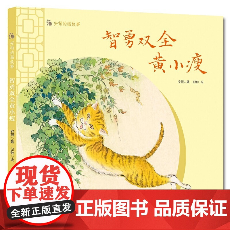 安顿的猫故事--智勇双全黄小瘦高清大图