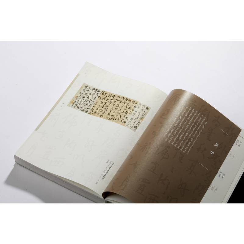 醉染图书百川入海 二十世纪海上代表书家作品萃编9787547927618高清大图