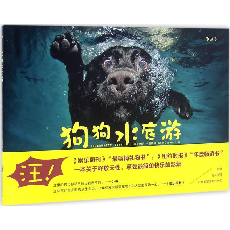 正版新书】狗狗水底游赛斯·卡斯蒂尔9787550278066