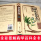 [醉染正版]神农本草经正版彩色草药图珍藏彩图鉴中国医学巨著中医基础理论中药学中草药图谱大全书药物医学书籍处方中药养生书籍