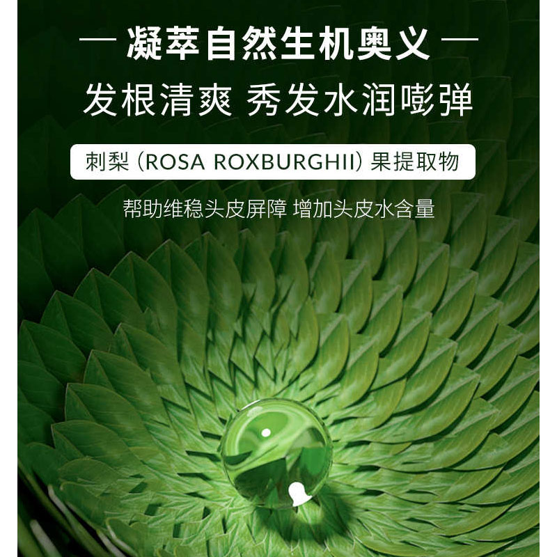 资生堂 头皮去屑洗发露250ml芯护理道芳氛头皮系列高清大图