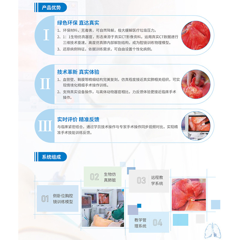 一津 胸腔镜模拟训练系统 ZKY-B315高清大图