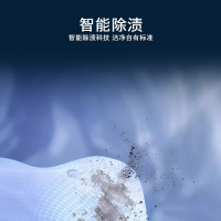 西门子 无界系列 10公斤全自动变频滚筒洗衣机家用 智能除渍 防过敏程序 除菌液洗 支持国家补贴 WG52E1U80W