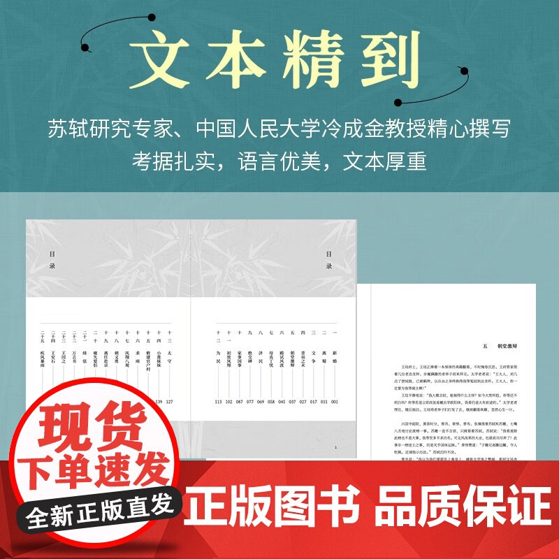 苏东坡 冷成金 著 历史小说高清大图