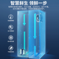 上菱651升对开门双门大冰箱离子净味除菌干湿分储一级能效风冷双变频智能家电BSE651PWLD(丝蕴灰)