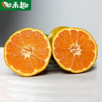 正宗湖南石门蜜橘无籽蜜橘 禾趣果园石门橘子五斤装 柑橘之乡甜度超高 酸甜适中新鲜采摘尝鲜价 青皮蜜橘