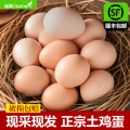 雀淘AA级新鲜土鸡蛋40枚装无沙门氏菌农家放养草鸡蛋营养早餐顺丰发货