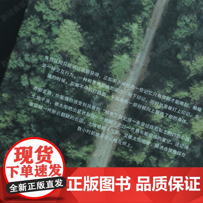 古道 麦克法伦 剑桥学者 行走文学三部曲 深时之旅作者行走观察学 博物式的大地漫游 罗新杨照刘子超 户外野泳去罗杰迪金高清大图