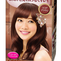KAO花王Prettia染发剂 日本原装 黑发专用泡沫染发剂可可棕色染发膏108g