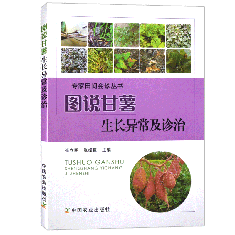 [醉染正版]图说甘薯生长异常及诊治 张立明 红薯山芋地瓜高效栽培种植技术书籍 疾病防治病虫害防治大全 中国农业出版社高清大图