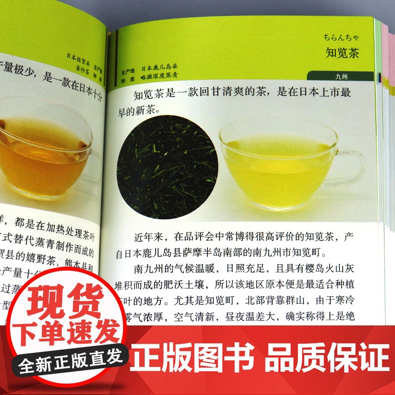 茶饮笔记 作山若子横扫日本美食图书排行榜口袋书日本茶咖啡花茶中国茶和红茶有关知识美食达人咖啡茶文化手册 家常饮料制作食谱高清大图