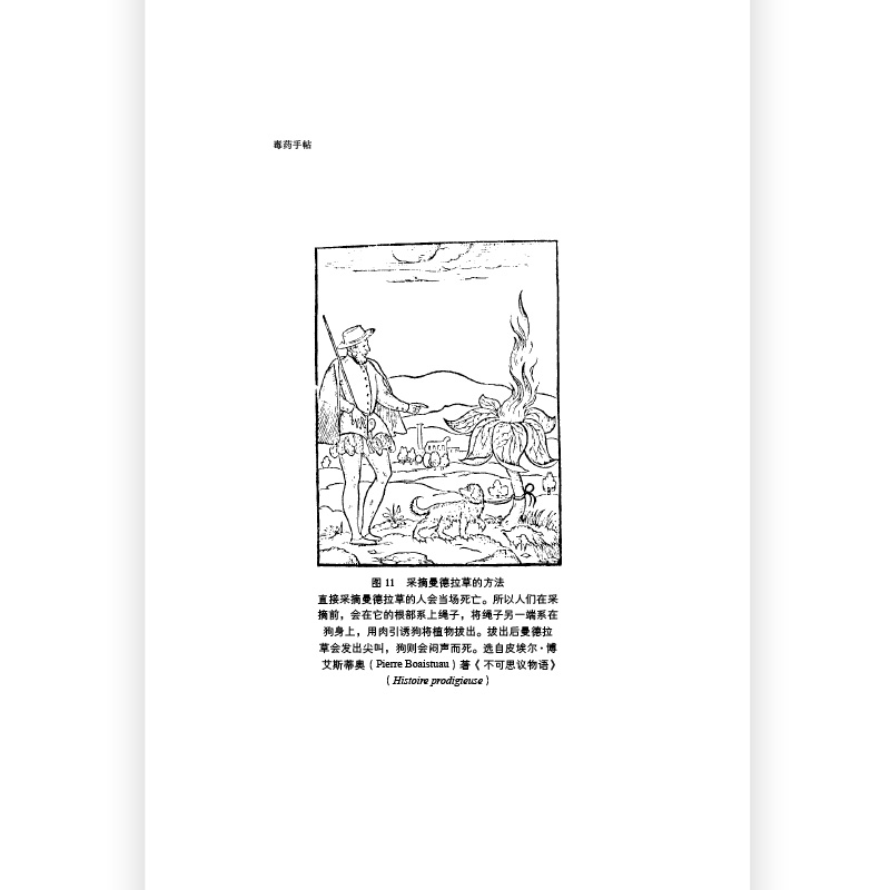 [正版]《涩泽龙彦 作品4册》毒药手帖+狐媚记+怪奇人物博物馆+龙彦之国绮谭集,高清大图