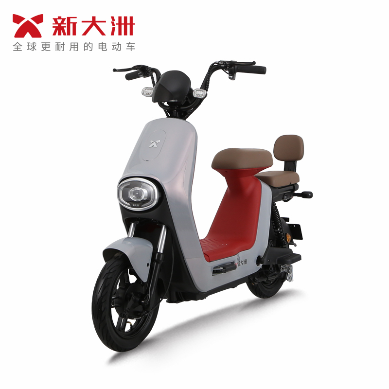 派乐/PALLA 乐颜 成人48V铅酸电池男女代步新大洲助力电动自行车 素颜绿