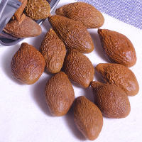 贡苑 茶叶 花草茶 胖大海茶 500g 可搭配菊花甘草罗汉果