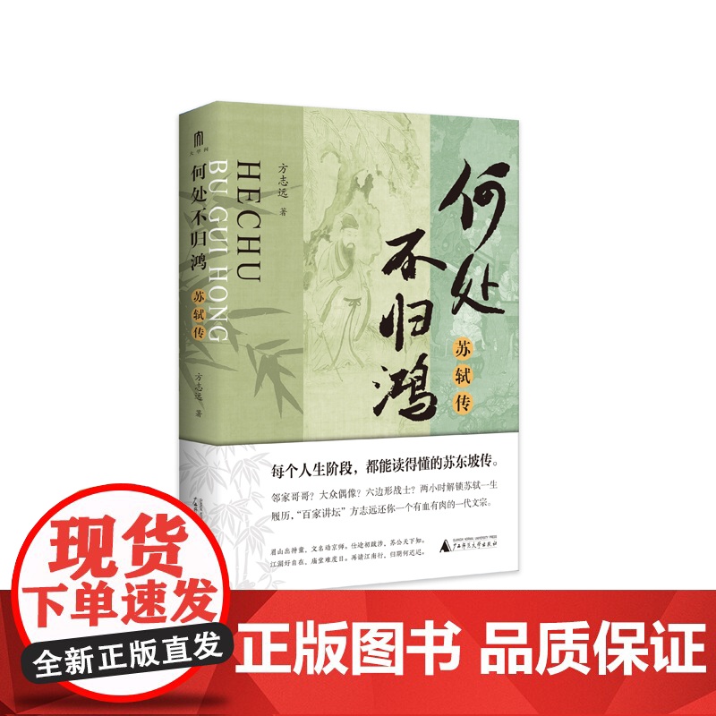 大学问 何处不归鸿:苏轼传 方志远/著 历史传记 苏轼 东坡 传记文学 广西师范大学出版社高清大图