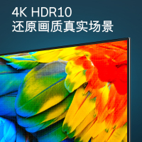 创维（Skyworth）50M9S 50英寸4K超高清智能语音网络wifi平板液晶家用彩电 16G大内存防蓝光护眼电视