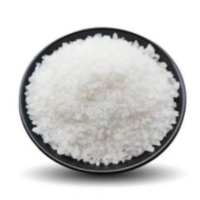 硕臻 工业盐 融雪剂 ≥95.5% 袋