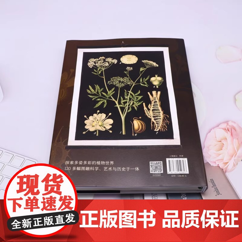 [央视网]植物挂图 科学发展黄金阶段的艺术 120余幅精美挂图 解读多姿多彩的植物世界 精巧描绘植物生命的奥秘 HW高清大图