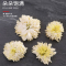 [洗象堂]黄山贡菊正宗菊花贡菊特级新货菊花茶