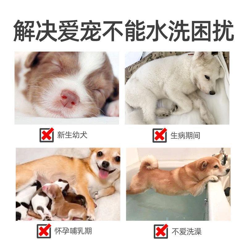 玫瑰香干洗粉单瓶[其他香味联系客服] 宠物猫咪兔子狗狗干洗粉幼犬幼猫杀菌免洗除臭除虫小狗猫洗澡用品