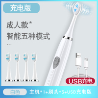 日常防水电动牙刷超声波震动智能软毛便携充电护齿深度清洁|白色-5档(5刷头)USB充电款