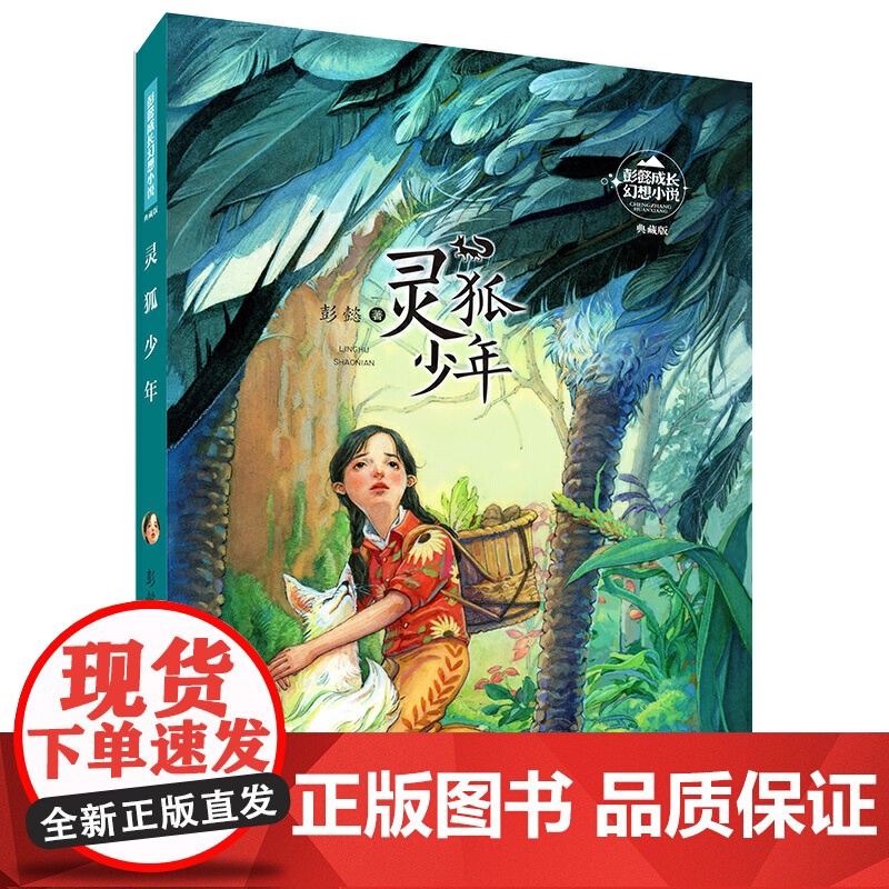 彭懿成长幻想小说:灵狐少年高清大图