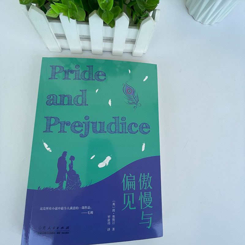 简爱 [正版]青少年成长文学11册 中小学生课外阅读文学经典 提高语文读写能力 小王子木偶奇遇记 八十天环游地球 海底两高清大图