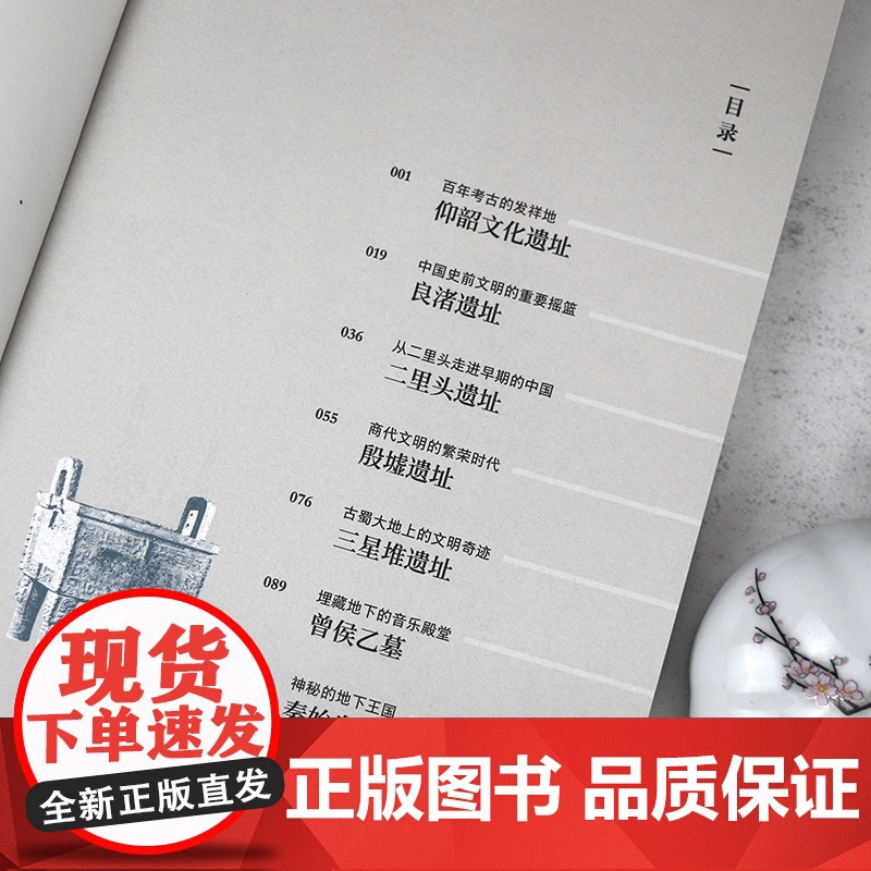 正版何以中国:我从考古现场来精选300余幅珍贵文物图片探寻五千年文明奇迹历史讲述具体且璀璨的中国文明历程背后故事收藏书籍高清大图