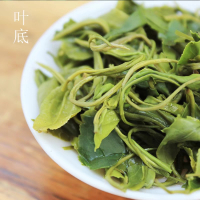 贵州绿茶120克大铁盒礼盒装2020新茶茶高原云雾茶