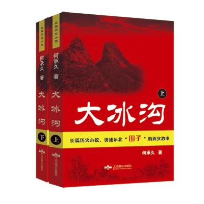 11大冰沟/何承久978754023904622