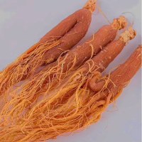 权禄东北人参红参50g/盒可切 红参片 红人参片泡茶人参皂苷老人养生滋补营养品中大片过节送礼品送长辈父母老人