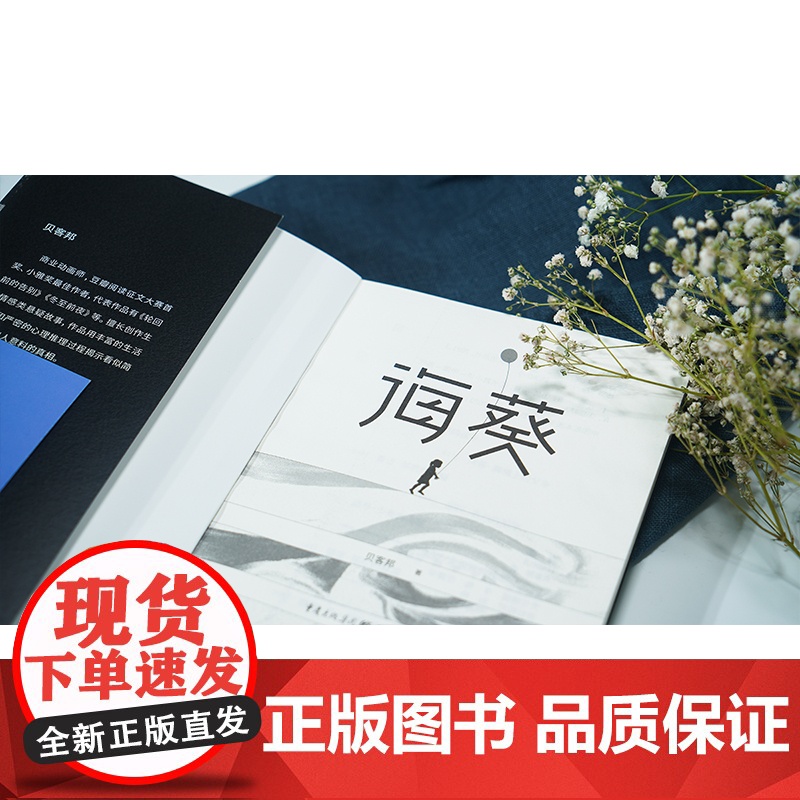 海葵《消失的孩子》原著小说白鸟坠入密林作者芒果TV豆瓣阅读征文大赛头奖、小雅奖励获奖作者贝客邦社会派悬疑开山力作小高清大图