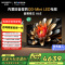 创维电视75A6E 75英寸 内置回音壁DeepSeek 1344分区 mini led电视机 液晶超薄家电补贴以旧换新