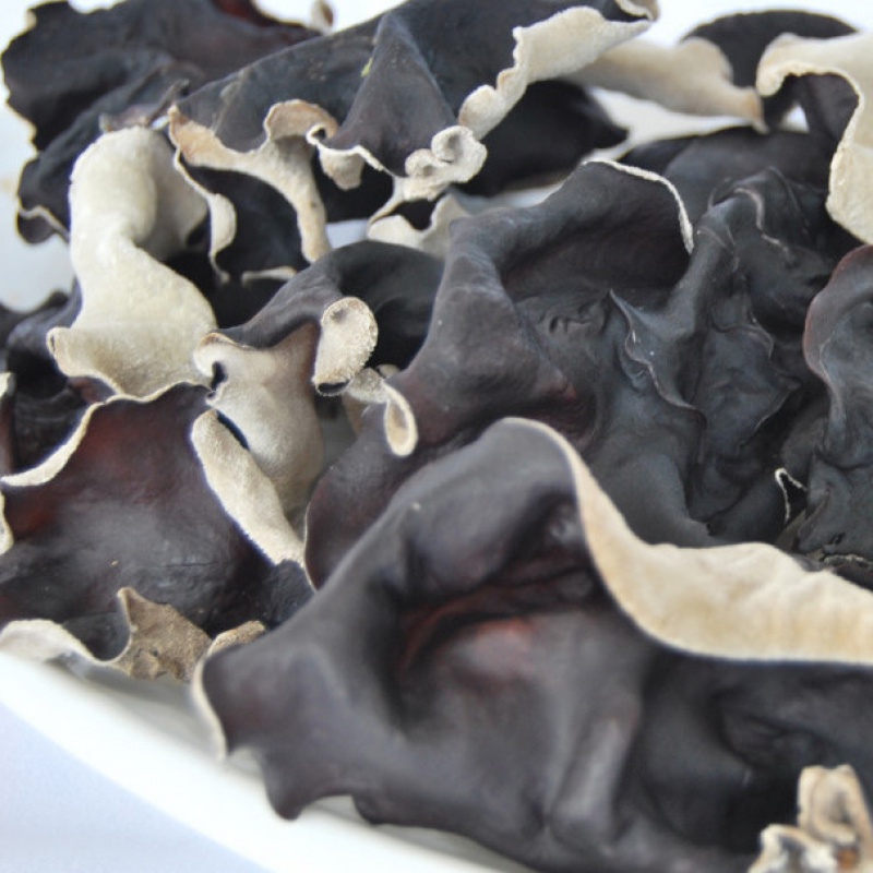 大木耳毛木耳