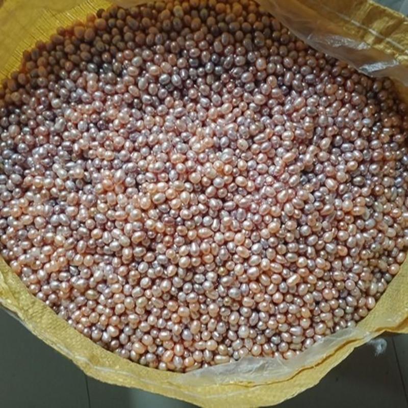 白色有孔56毫米10克约21粒珍珠单颗穿孔天然淡水散珠称斤称量67mm散