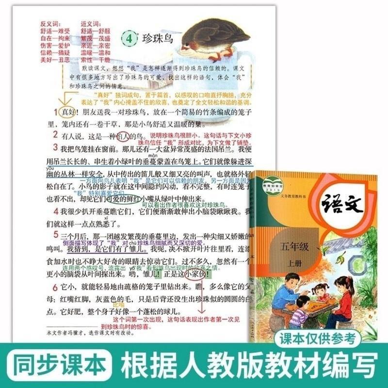 2021新课堂笔记5五年级上册语文课本同步彩印版+人教版语文课本书 人教版五年级上册语文小册