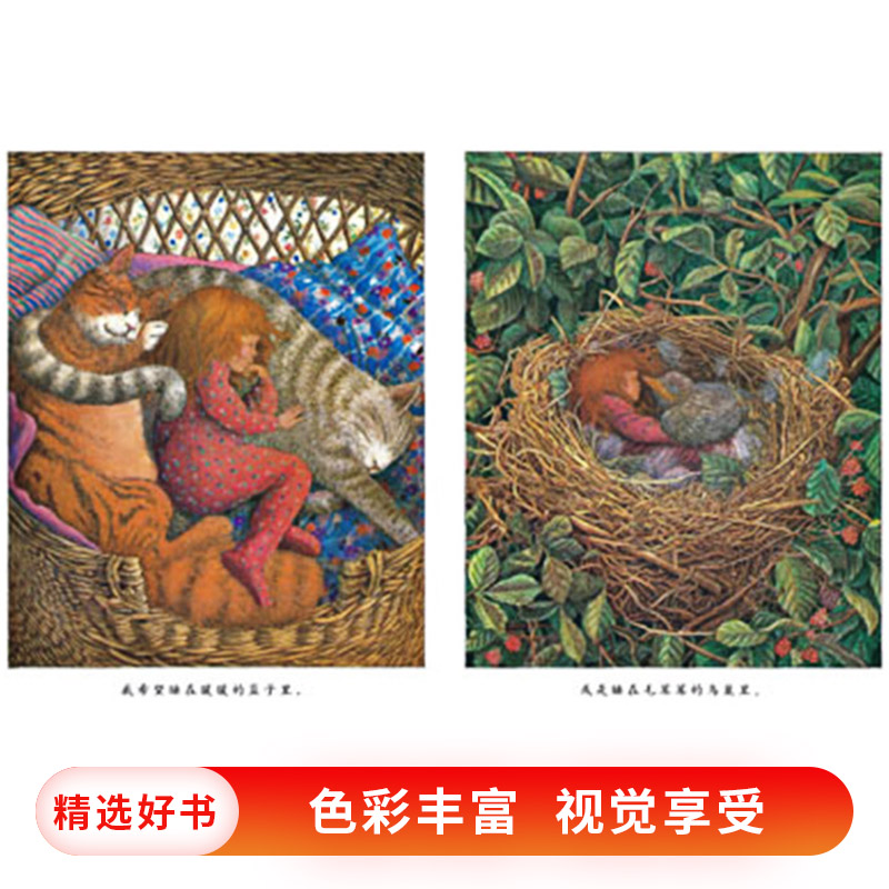 当我想睡的时候 [正版]当我想睡的时候硬壳精装图画书启发绘本2岁以上亲子共读童书高清大图