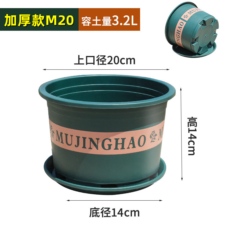 【补贴10%】新款加厚二代矮胖加仑花盆塑料绿萝月季多肉阳台家用大号树脂盆栽 含托盘(托盘加厚) 加厚款M2010个装口径20cm)