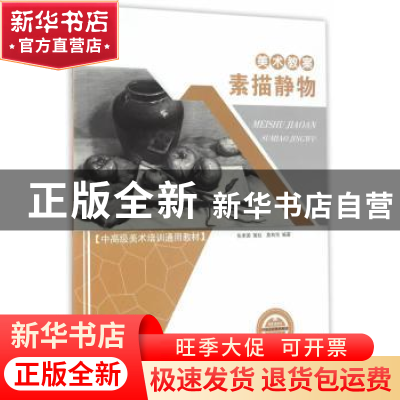 正版 美术教案:素描静物 莫有悦编著 重庆大学出版社 97875689048